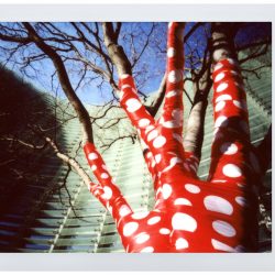 LomoInstant Automat Glass (c) Kieko Hoshi