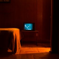 Tania-Franco-Klein_Mexico_NationalAwards_2017