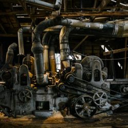 machine-a-bois-©-stephane-lavoue
