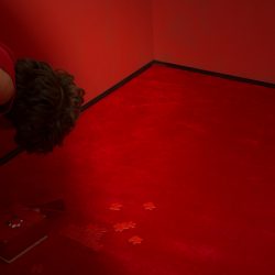 The Puzzle, 2016 - © Tania Franco Klein