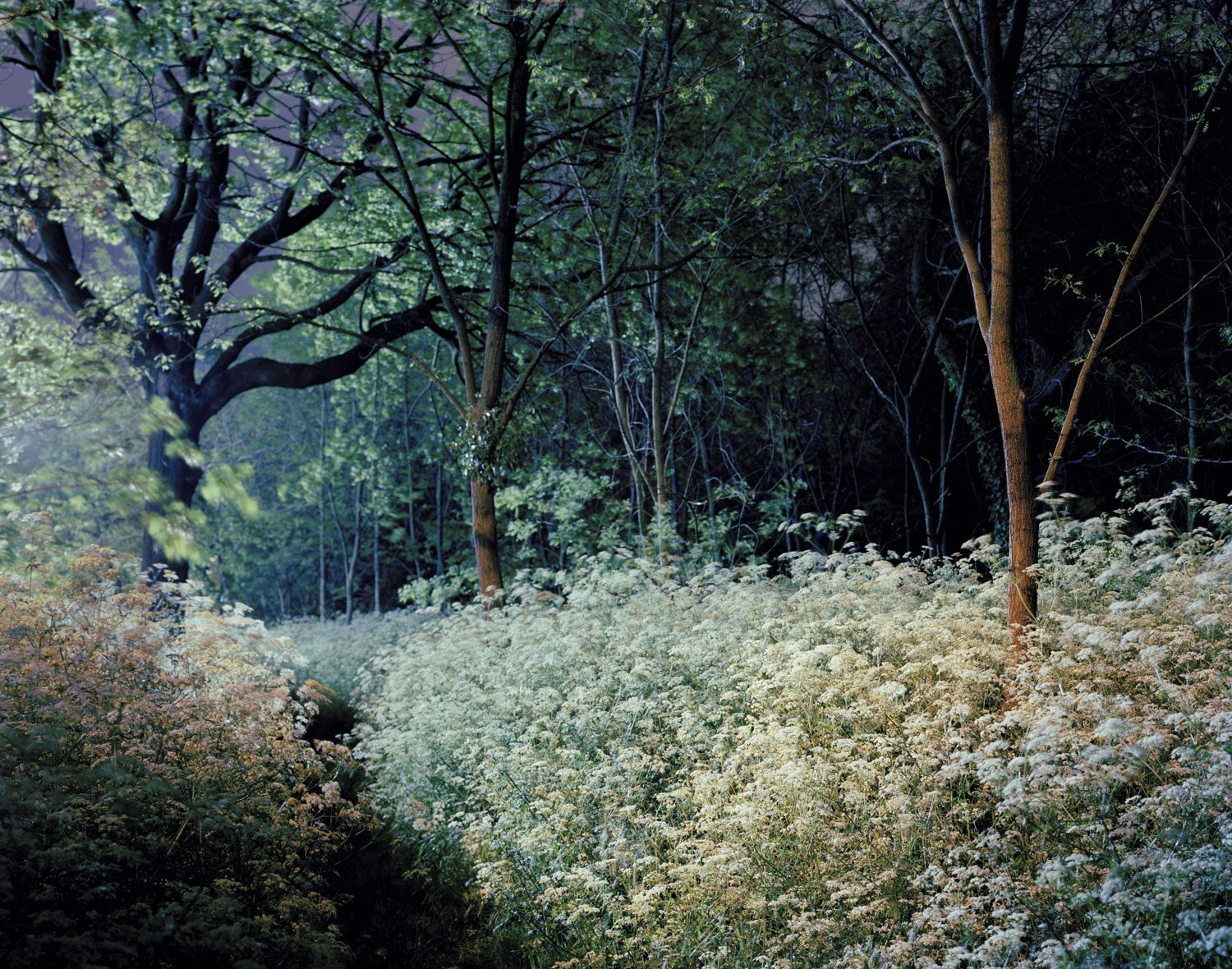 010_weiner_1605_JDF_0640_BD