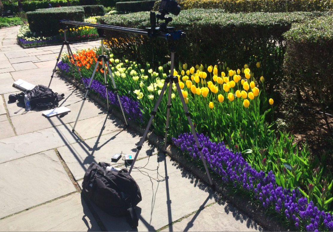 Capture d’écran 2017-05-16 à 16.46.06