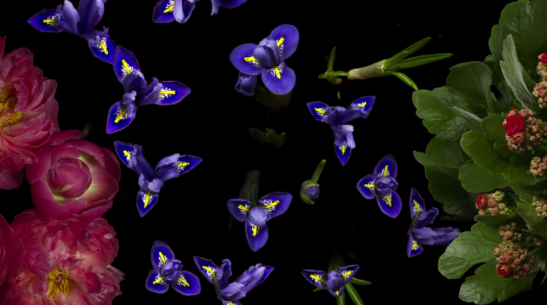 Capture d’écran 2017-05-16 à 17.00.41