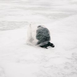 © Aleksey Kondratyev_Ice Fishers_12