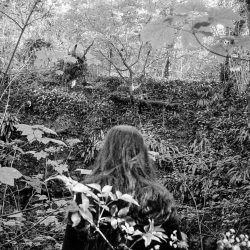 sans titre, archive, 2014, Niort, France, pell307