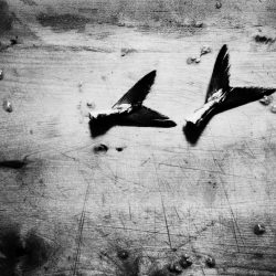 And now i'm saying worst and worst as he said. Rien. ne s'assa