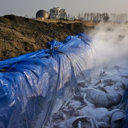 © Dominic Nahr_Fallout_5