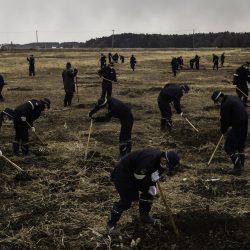 © Dominic Nahr_Fallout_6