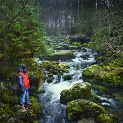 © Ekaterina Sevrouk_Fremd bin ich eingezogen_4