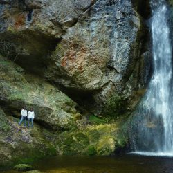 © Ekaterina Sevrouk_Fremd bin ich eingezogen_5