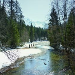 © Ekaterina Sevrouk_Fremd bin ich eingezogen_7