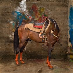 © Patrick Willocq_You cannot pick a stone with one finger_4