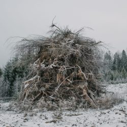 © Terje Abusdal_Slash & Burn_4