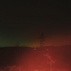 © Terje Abusdal_Slash & Burn_5