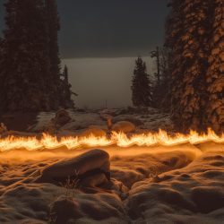 © Terje Abusdal_Slash & Burn_8