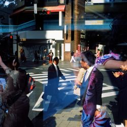 © Vera Torok_Gravitatephotos_Accidentally on Purpose_7