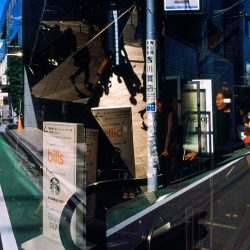 © Vera Torok_Gravitatephotos_Accidentally on Purpose_9