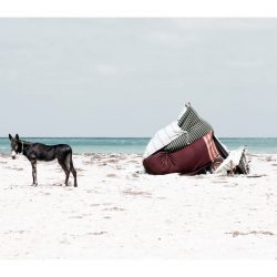 © Yoann Cimier_Nomad’s Land_8