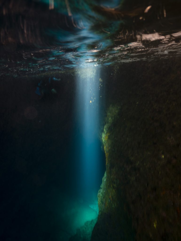 Noces ou les confins sauvages