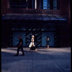 Shadows Journey © Robin Cassiau