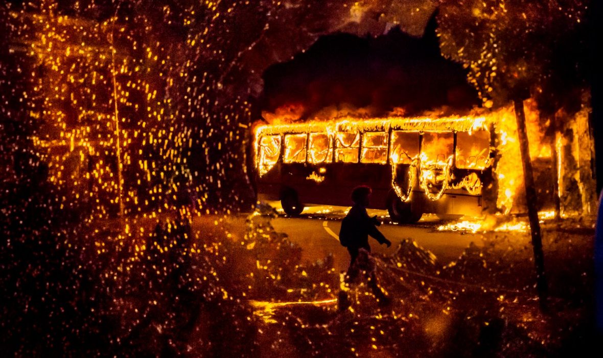 Ana Carolina Fernandes