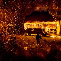 Ana Carolina Fernandes