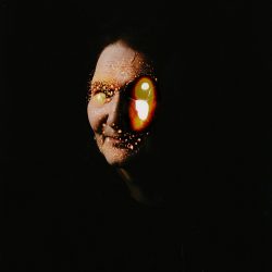 © Terje Abusdal_Slash & Burn_3