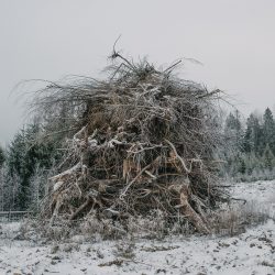 © Terje Abusdal_Slash & Burn_4