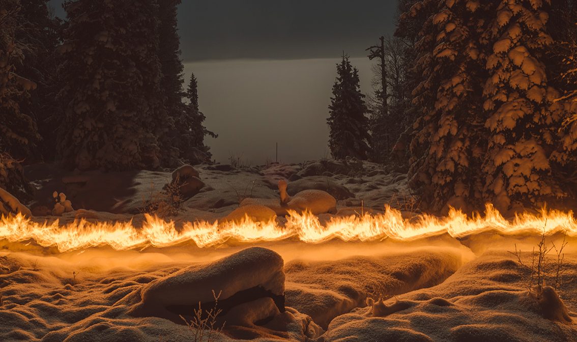 © Terje Abusdal_Slash & Burn_8