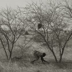 Claude Iverné 302-23 GumArabic