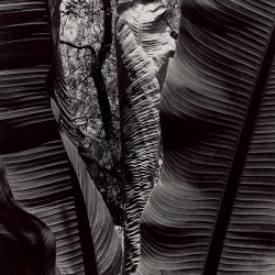 Colette Urbajtel-CMJN