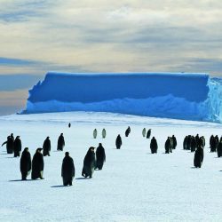 Muon Radiography Imaging Bent / Mission Scan Pyramids