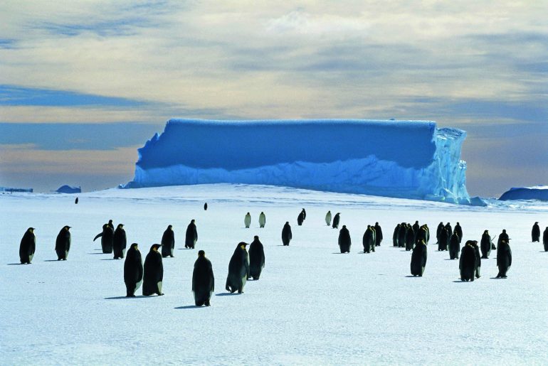 Muon Radiography Imaging Bent / Mission Scan Pyramids