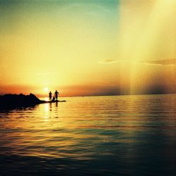 2013_vie_diana_oprisescu_diana_f_3_