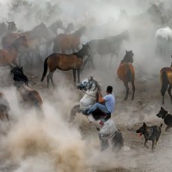 2143_4445_FDilekUyar_Turkey_Open_Motion_2018