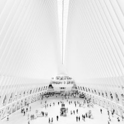 2147_4499_VctorVargasAltamirano_Ecuador_Open_ArchitectureOpen_2018