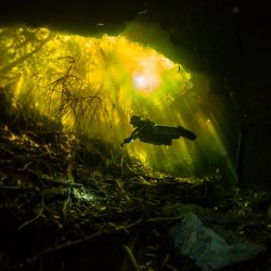 2163_4469_JoanaVillar_Portugal_Open_LandscapeNature_2018