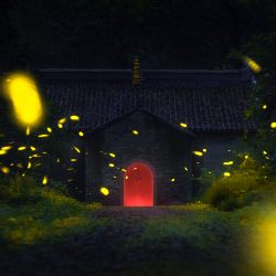 2165_4471_JiaminLu_China_Open_Wildlife_2018