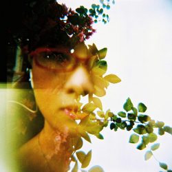 hp700_sample_39_media_gallery_3