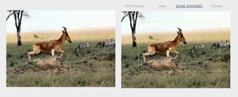 regaind_onglet_zone_interet