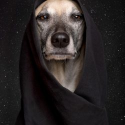 elke-vogelsang