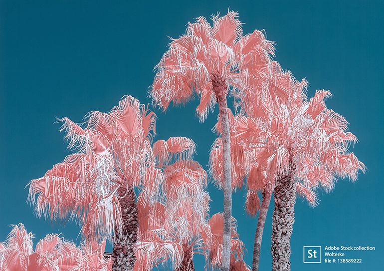 adobe-stock-visual-trends-realites-alternatives