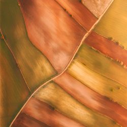 skypixel-2017-lines-©-Javier del Cerro