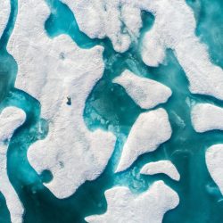 skypixel-2017-polar bear hunting-©-Florian Ledoux