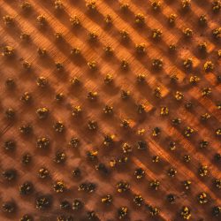 Skypixel 2017 - Geometry of liquid gold - © Javier del Cerro