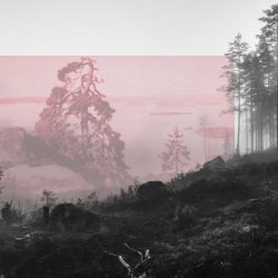 Jaakko Kahilaniemi Photography