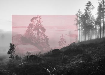 Jaakko Kahilaniemi Photography