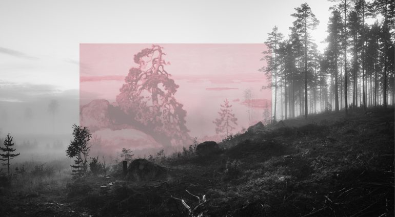 Jaakko Kahilaniemi Photography