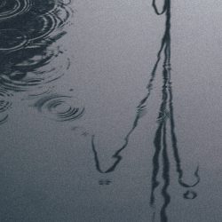 ARNAUD_Pascale_Xiaodong_10