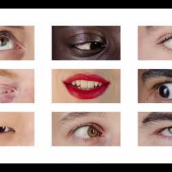 Capture d’écran 2018-01-31 à 12.10.49